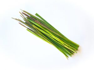 レモングラス,イメージ
